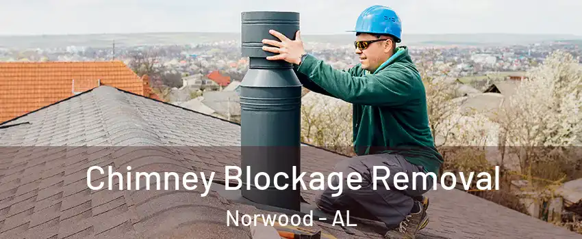Chimney Blockage Removal Norwood - AL