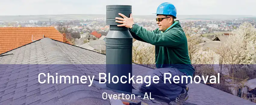 Chimney Blockage Removal Overton - AL