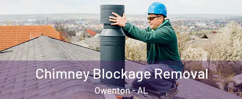 Chimney Blockage Removal Owenton - AL