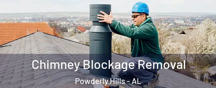Chimney Blockage Removal Powderly Hills - AL