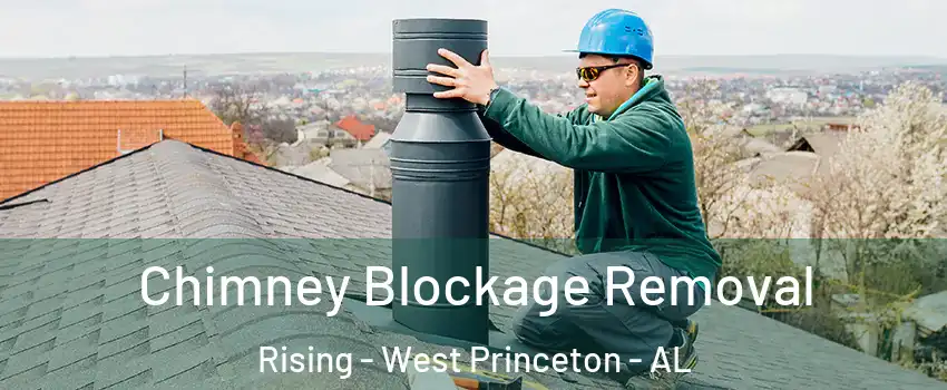 Chimney Blockage Removal Rising - West Princeton - AL