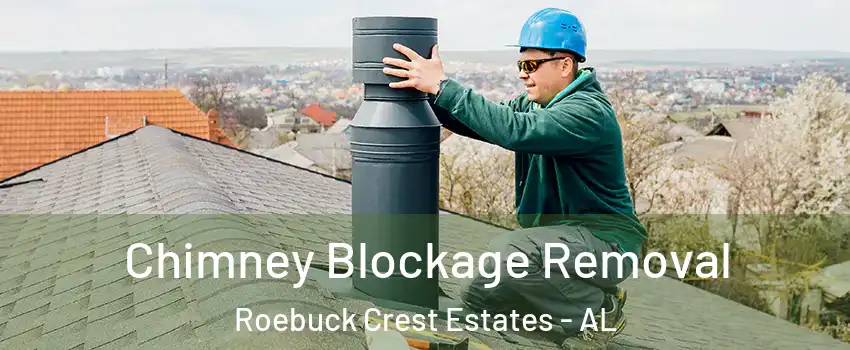 Chimney Blockage Removal Roebuck Crest Estates - AL