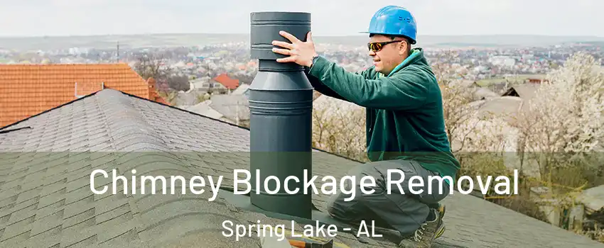 Chimney Blockage Removal Spring Lake - AL
