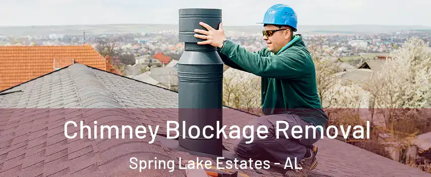 Chimney Blockage Removal Spring Lake Estates - AL