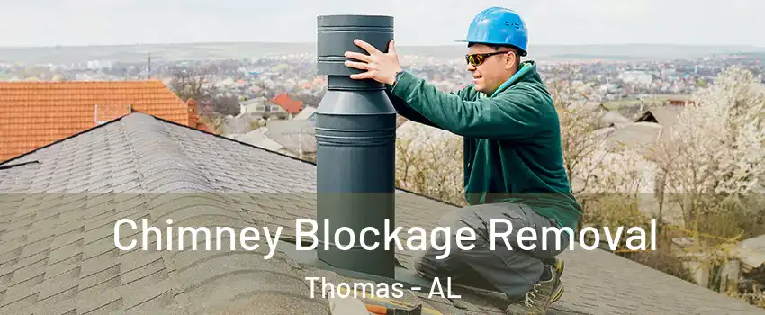 Chimney Blockage Removal Thomas - AL