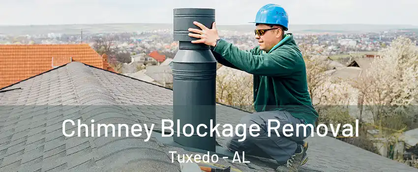 Chimney Blockage Removal Tuxedo - AL