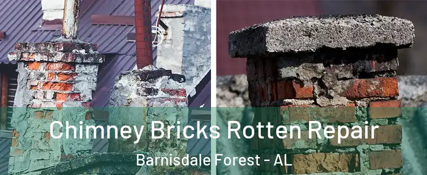 Chimney Bricks Rotten Repair Barnisdale Forest - AL