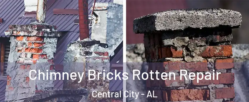 Chimney Bricks Rotten Repair Central City - AL