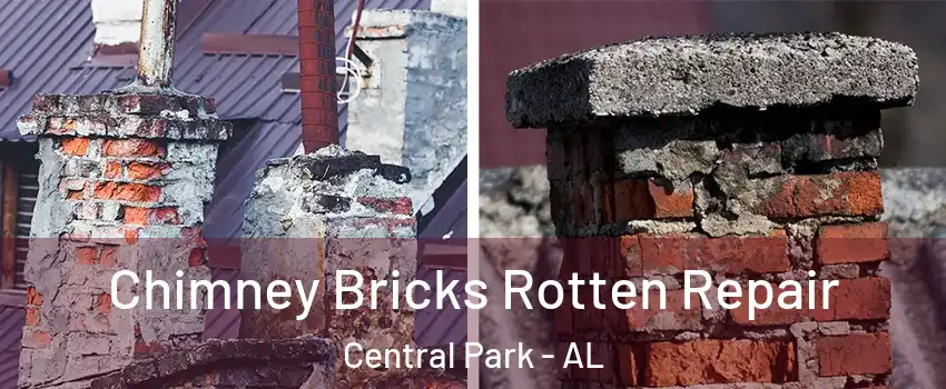 Chimney Bricks Rotten Repair Central Park - AL