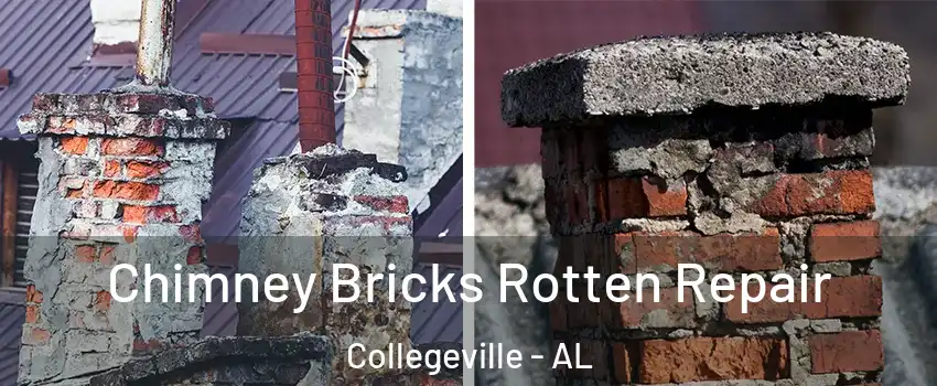 Chimney Bricks Rotten Repair Collegeville - AL