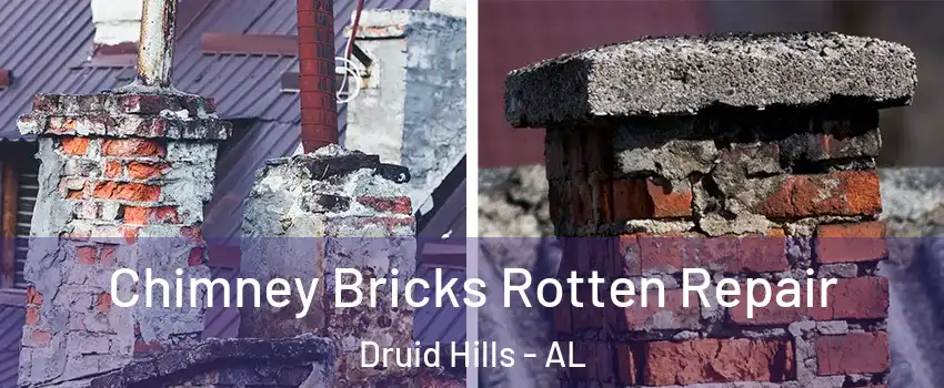 Chimney Bricks Rotten Repair Druid Hills - AL