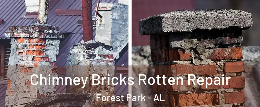 Chimney Bricks Rotten Repair Forest Park - AL