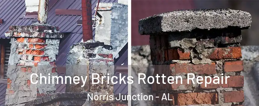 Chimney Bricks Rotten Repair Norris Junction - AL
