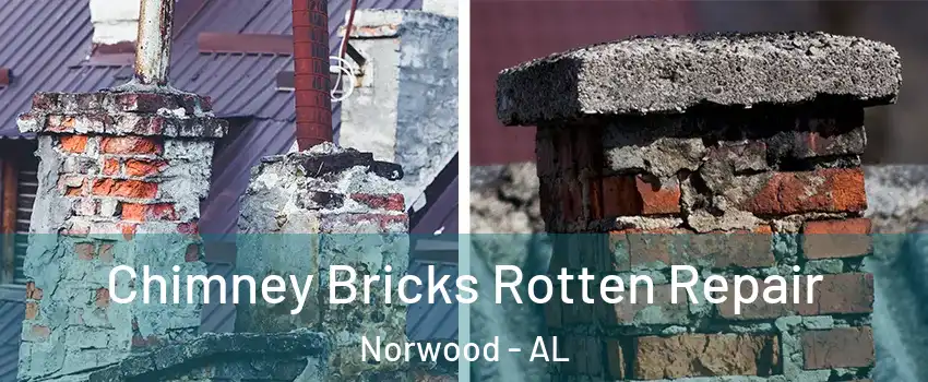 Chimney Bricks Rotten Repair Norwood - AL