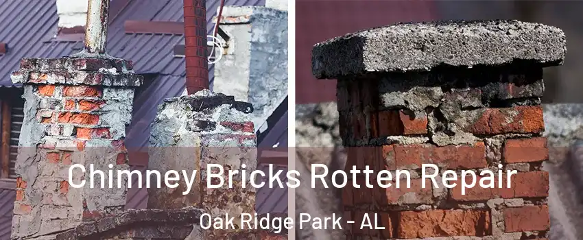 Chimney Bricks Rotten Repair Oak Ridge Park - AL