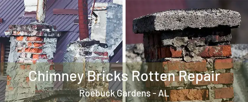 Chimney Bricks Rotten Repair Roebuck Gardens - AL