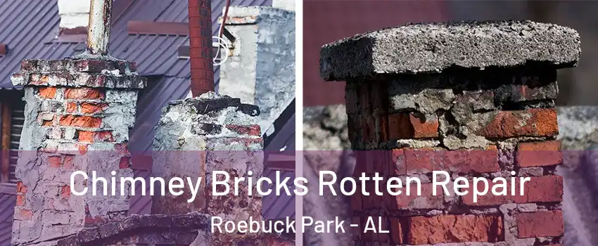 Chimney Bricks Rotten Repair Roebuck Park - AL