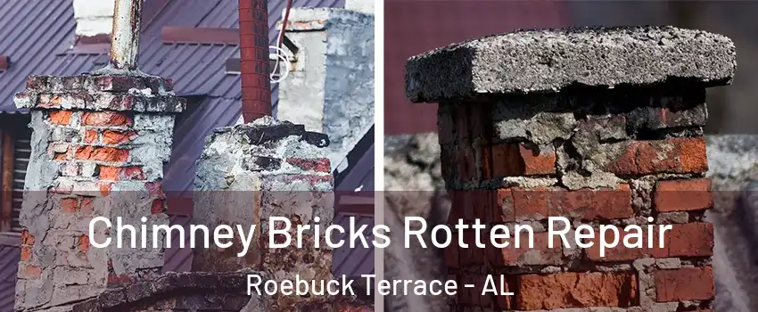 Chimney Bricks Rotten Repair Roebuck Terrace - AL