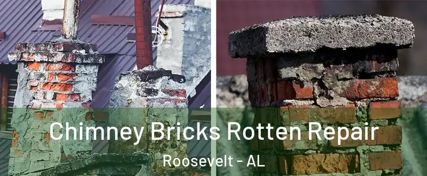 Chimney Bricks Rotten Repair Roosevelt - AL
