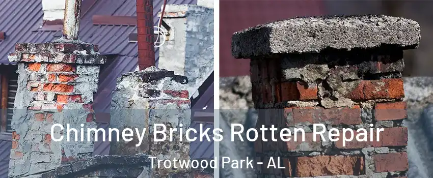 Chimney Bricks Rotten Repair Trotwood Park - AL