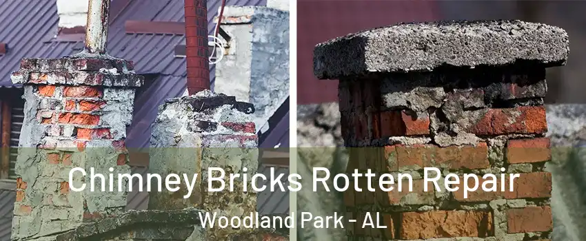 Chimney Bricks Rotten Repair Woodland Park - AL