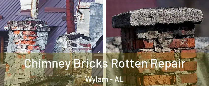 Chimney Bricks Rotten Repair Wylam - AL