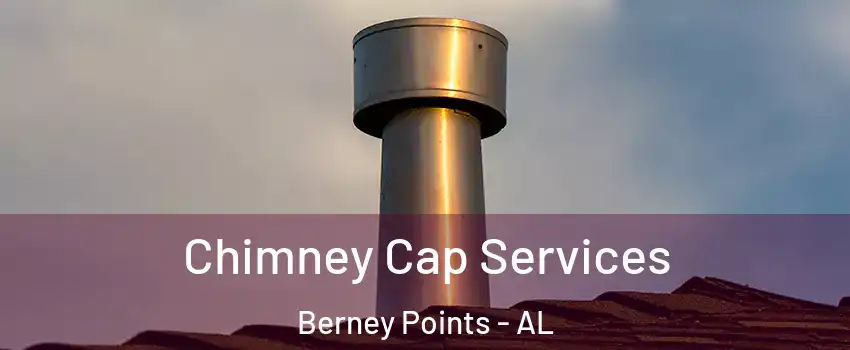 Chimney Cap Services Berney Points - AL