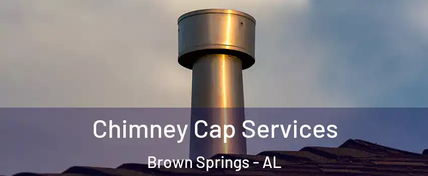 Chimney Cap Services Brown Springs - AL