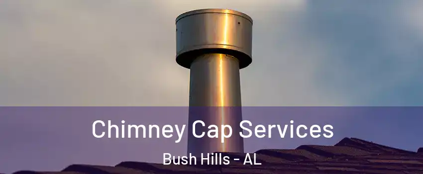 Chimney Cap Services Bush Hills - AL