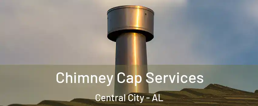 Chimney Cap Services Central City - AL