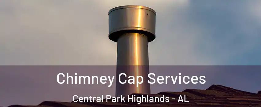 Chimney Cap Services Central Park Highlands - AL