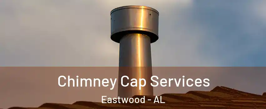 Chimney Cap Services Eastwood - AL