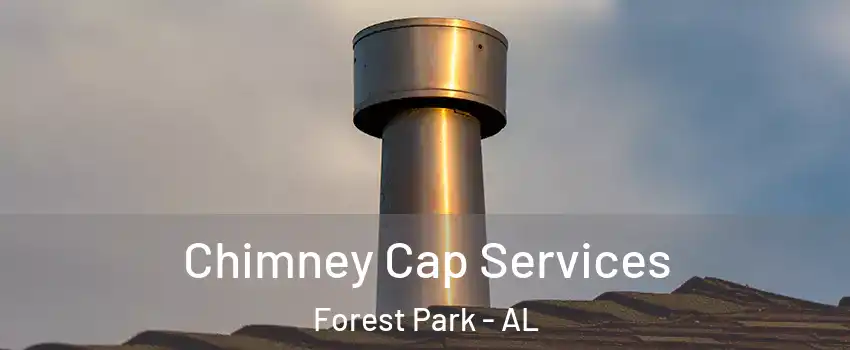 Chimney Cap Services Forest Park - AL