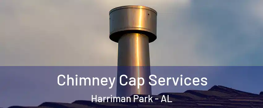 Chimney Cap Services Harriman Park - AL