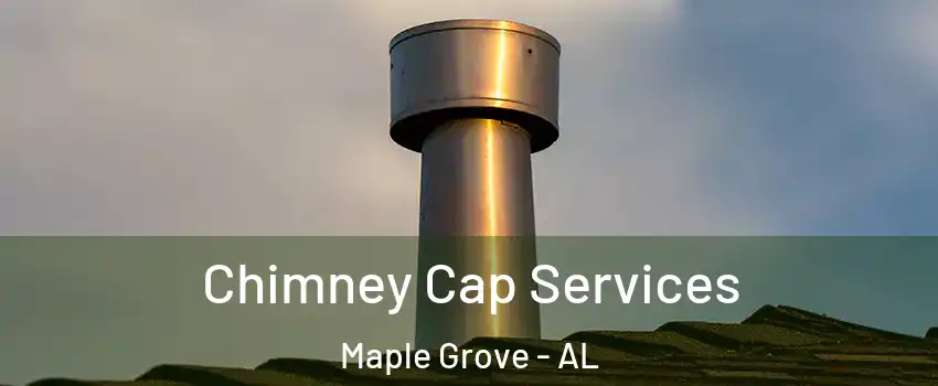 Chimney Cap Services Maple Grove - AL