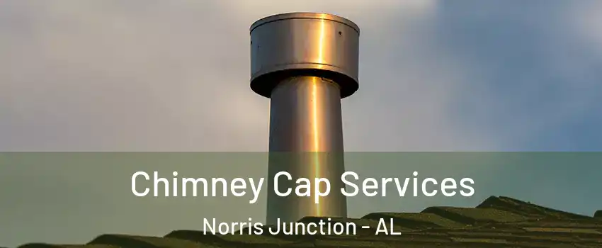 Chimney Cap Services Norris Junction - AL