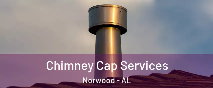 Chimney Cap Services Norwood - AL
