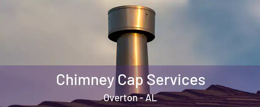 Chimney Cap Services Overton - AL