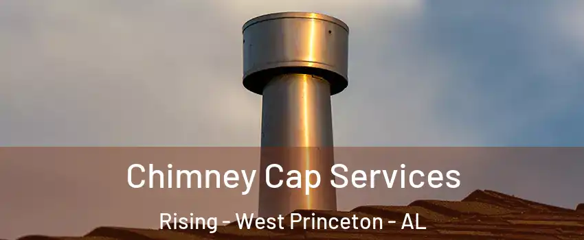 Chimney Cap Services Rising - West Princeton - AL
