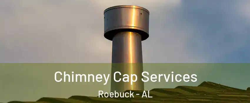 Chimney Cap Services Roebuck - AL