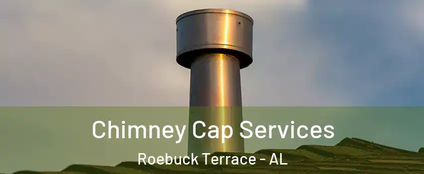 Chimney Cap Services Roebuck Terrace - AL