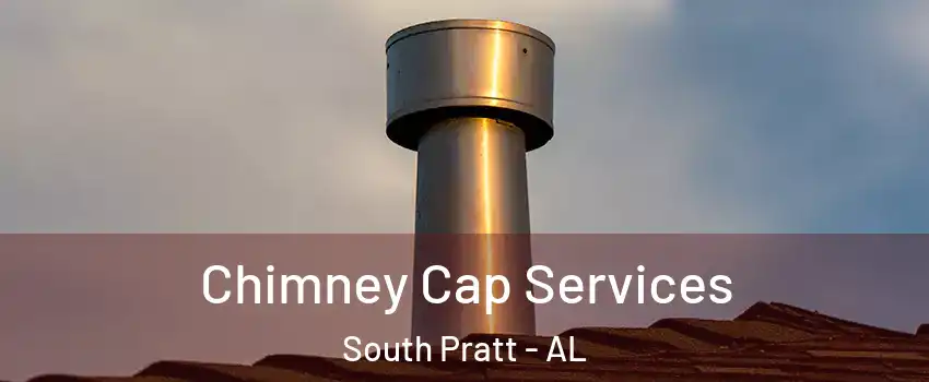 Chimney Cap Services South Pratt - AL