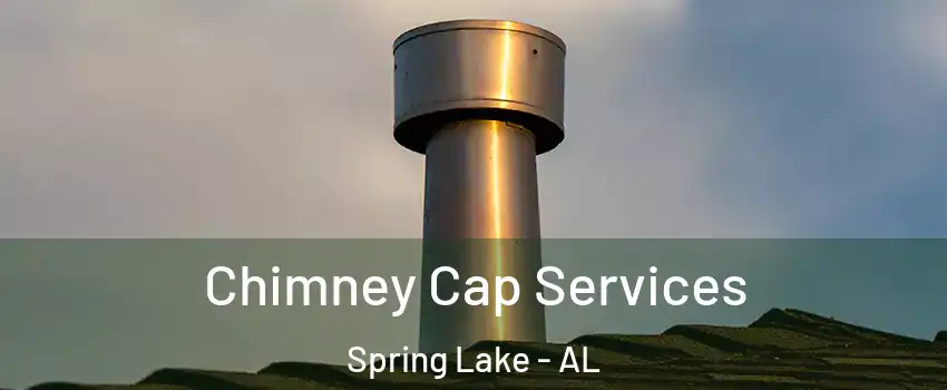 Chimney Cap Services Spring Lake - AL