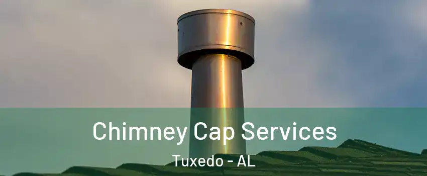 Chimney Cap Services Tuxedo - AL