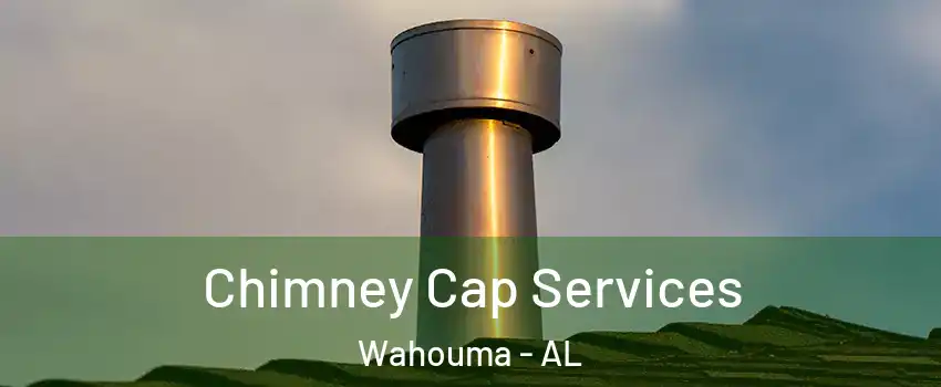 Chimney Cap Services Wahouma - AL