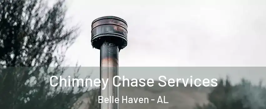 Chimney Chase Services Belle Haven - AL
