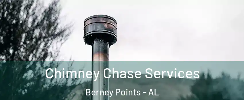 Chimney Chase Services Berney Points - AL
