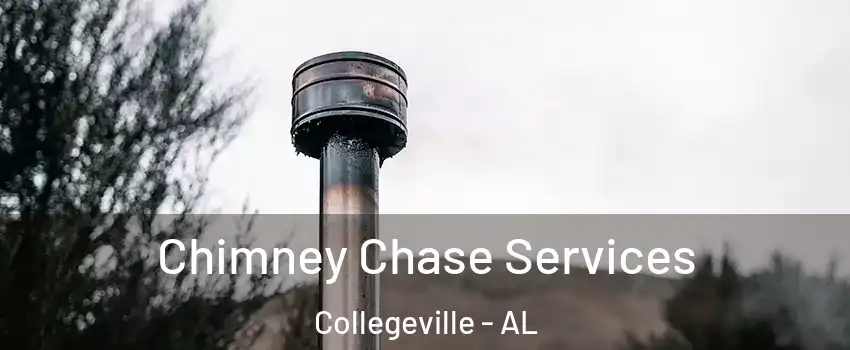 Chimney Chase Services Collegeville - AL