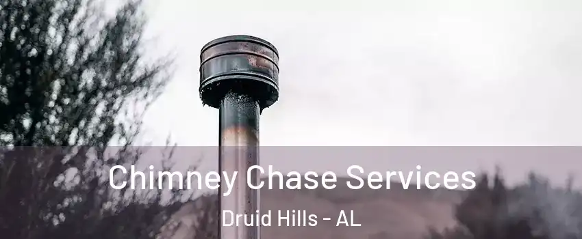 Chimney Chase Services Druid Hills - AL