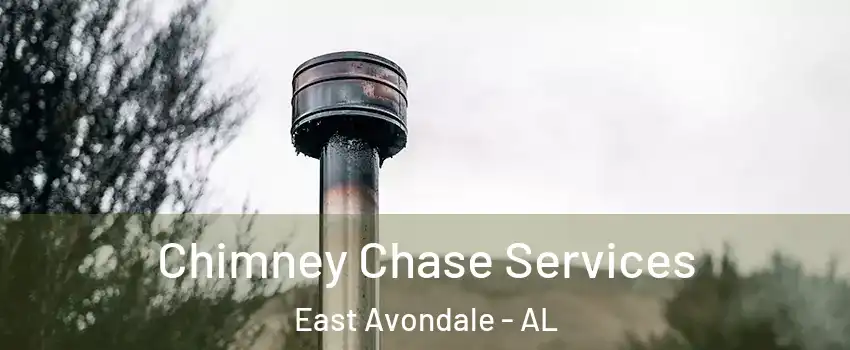 Chimney Chase Services East Avondale - AL
